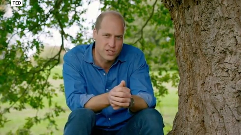 Prince William begins his Ted Talk on climate change