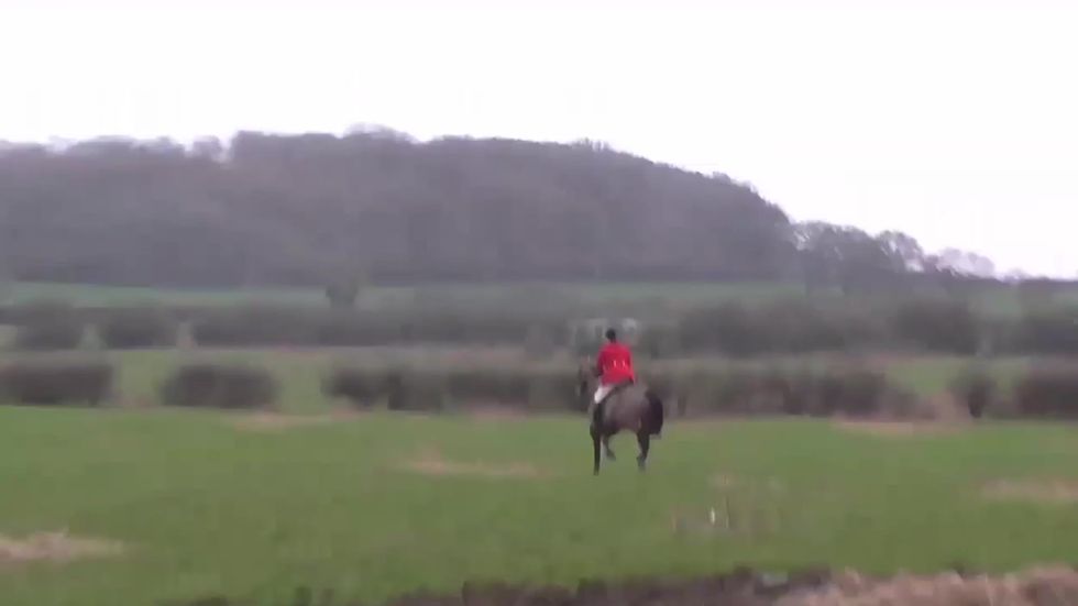 Fox chased at the Cottesmore Hunt