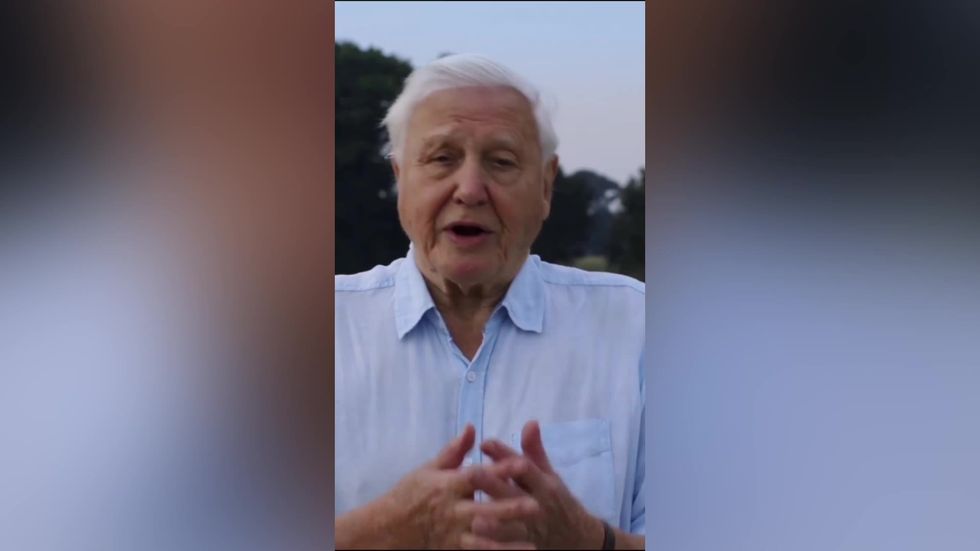 David Attenborough delivers message about climate change on Instagram