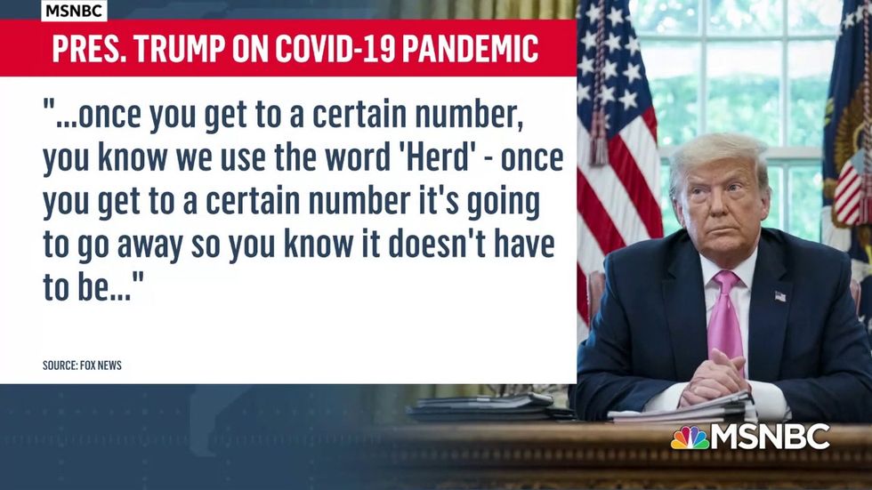 Fauci dismisses herd immunity as Covid-19 strategy