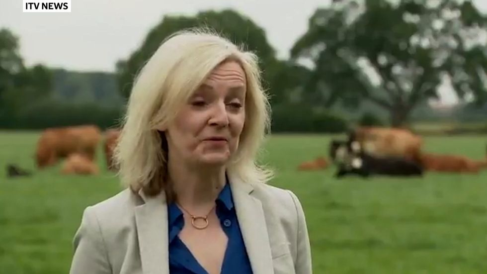 Liz Truss struggles to defend Tony Abbott's record of sexist comments in awkward interview