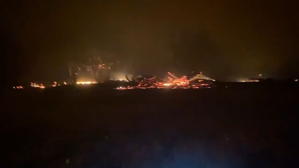 Woman returns to family ranch to find animals burned by California wildfires