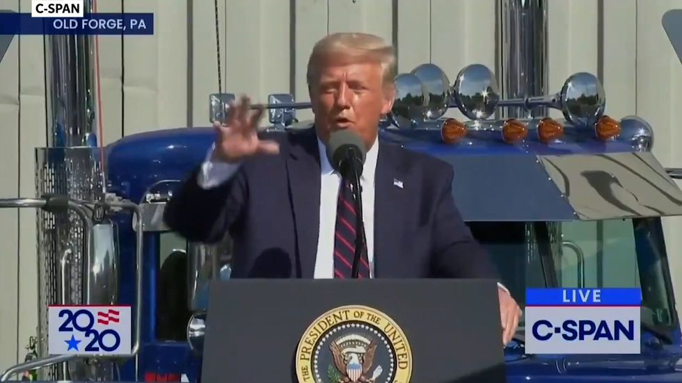 Trump rants about sharks and seals: 'Not a big fan'