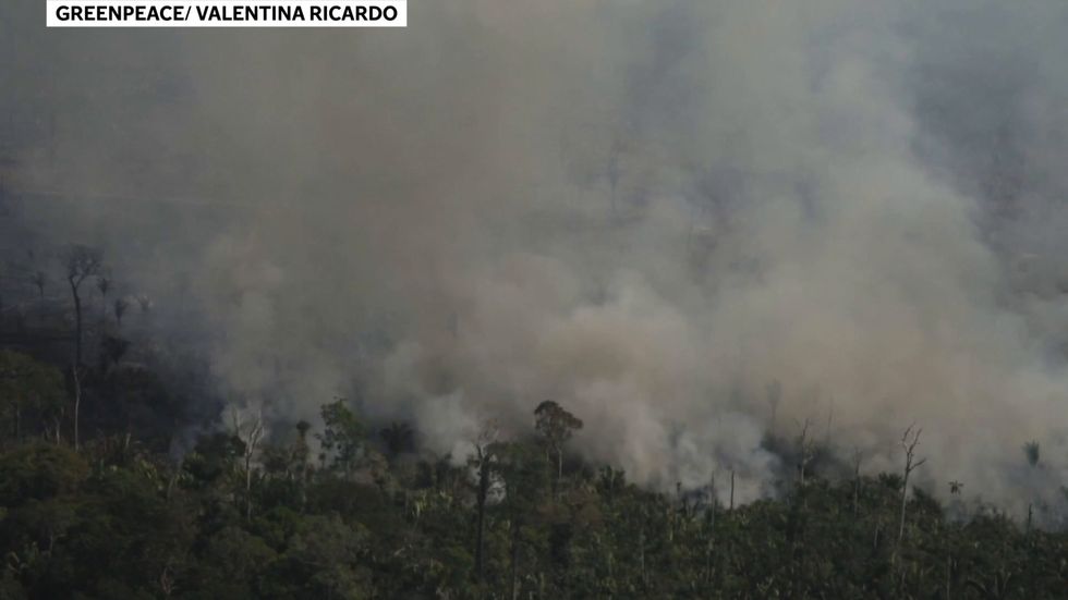 New footage shows Amazon fires worsening