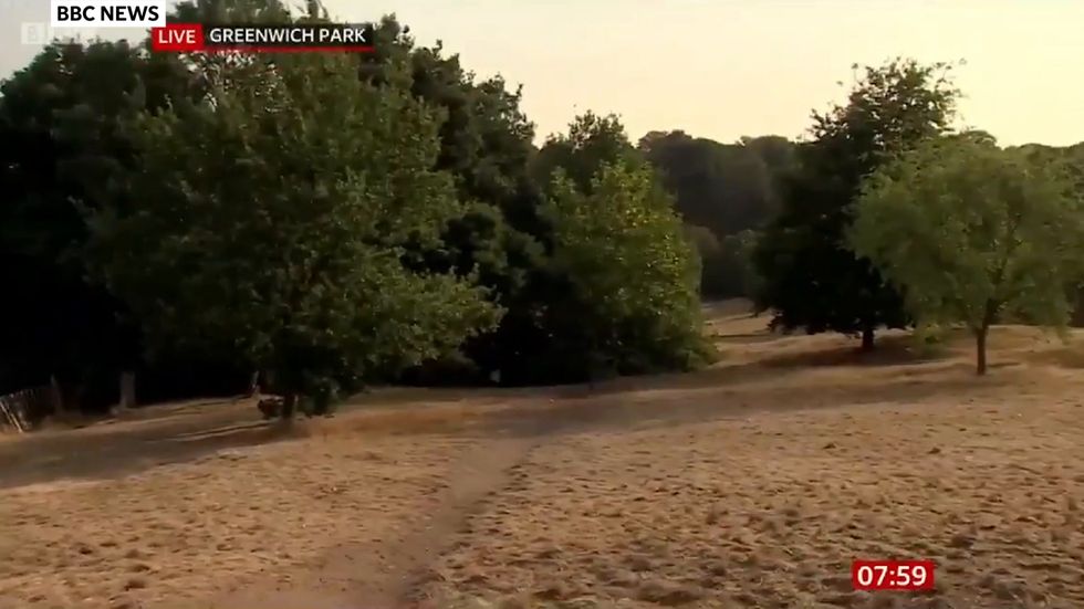 BBC weather reporter accidentally says that she has seen 'doggers' in Greenwich Park