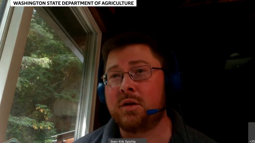 First 'murder hornet' trapped in the US