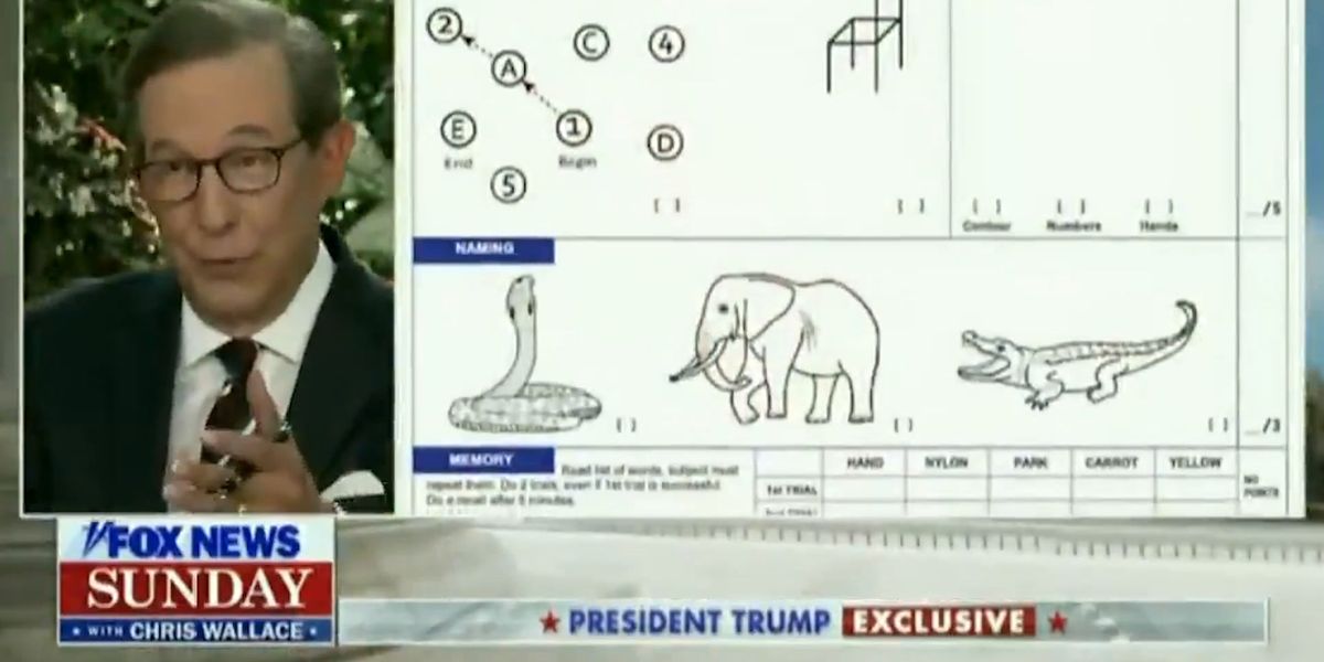 Donald Trump challenges Joe Biden to take cognitive test again indy100