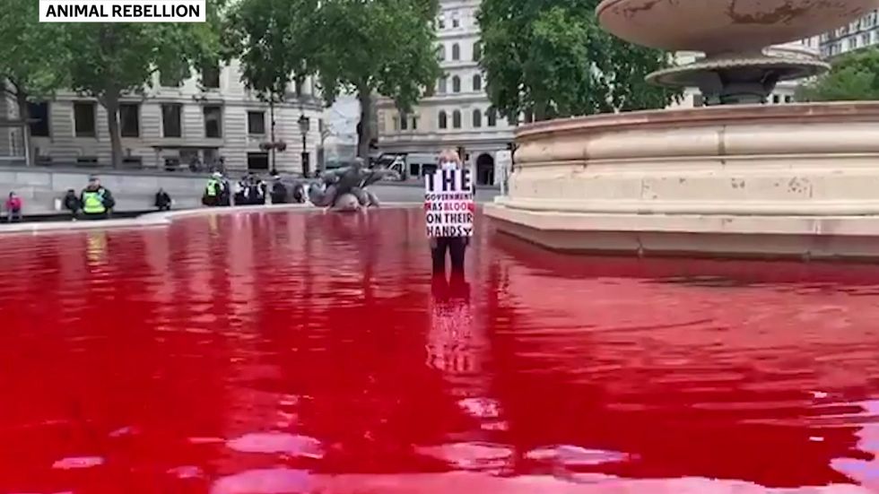 Animal Rebellion says the government has blood on its hands