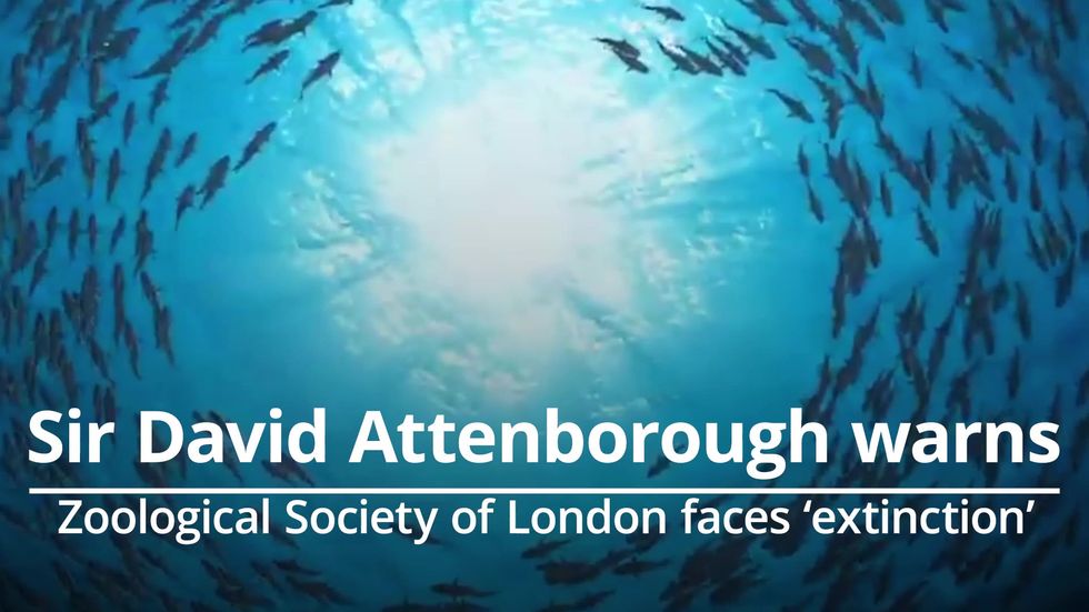Don’t let ZSL go extinct, says Sir David Attenborough