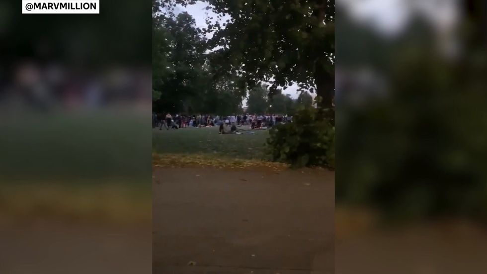 Crowds gather for unlicensed music event in Clapham Common