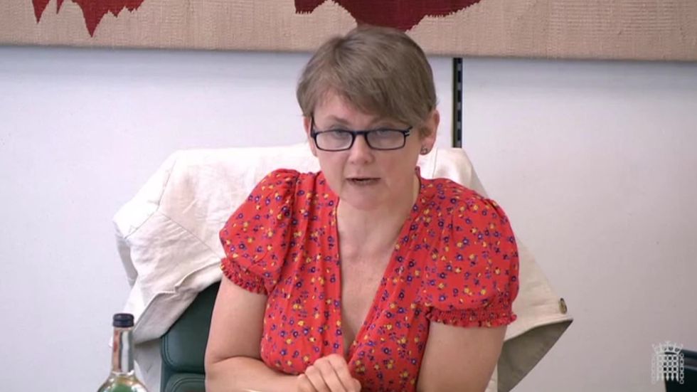 Britons who have lost jobs during pandemic could be encouraged to take on social care work says government adviser