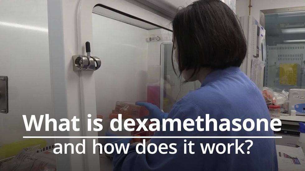 What is dexamethasone, how does it work and when will it be used?