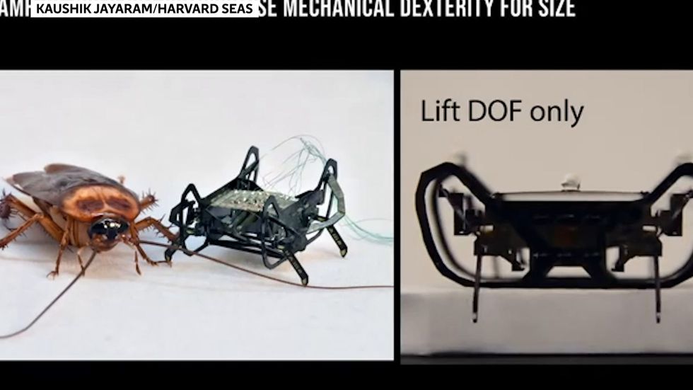 Next-generation cockroach-inspired robot 'HAMR-JR'