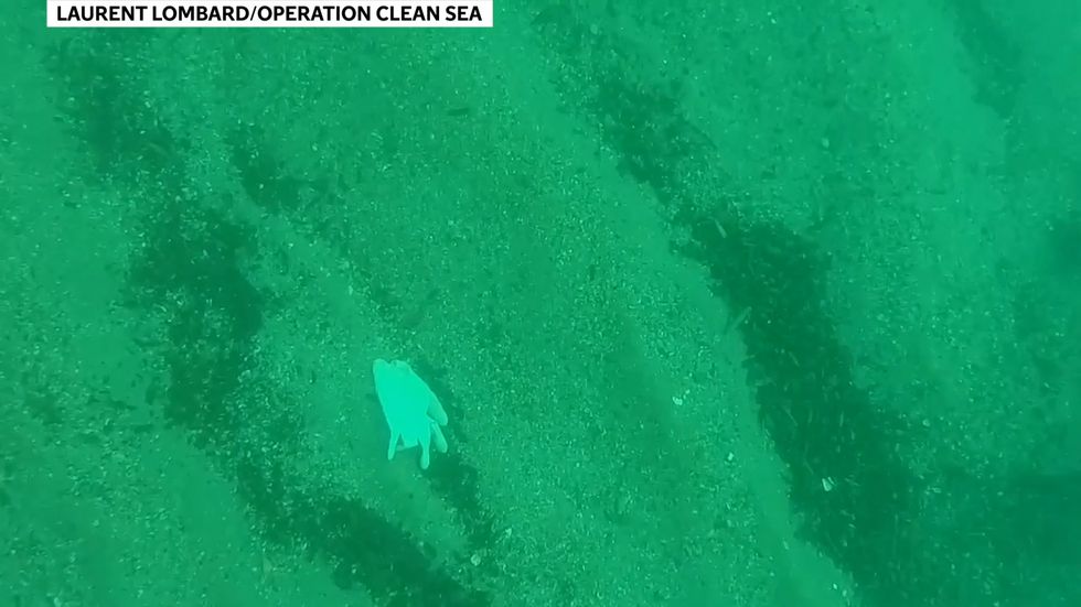 PPE washes up on idyllic French lakes