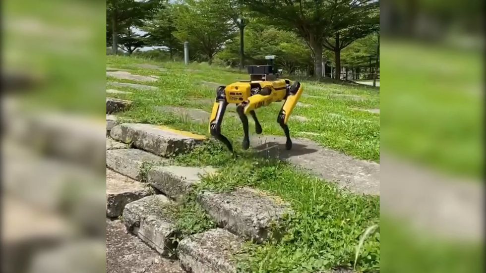 Robot patrols park in Singapore reminding people to social distance