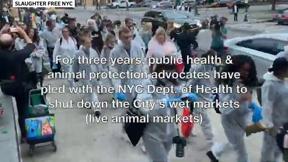 New York's live animal markets