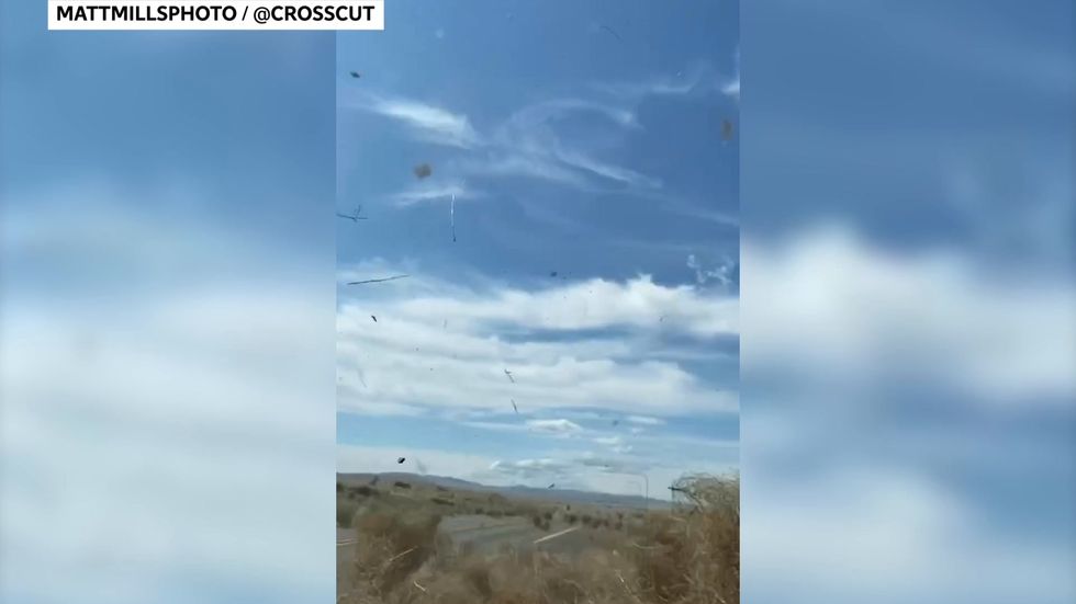 Tumbleweed tornado caught on camera on Washington highway