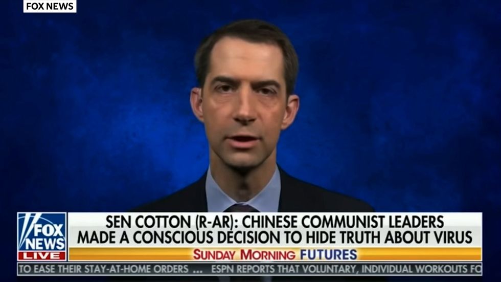 Republican senator says Chinese people shouldn't be allowed to study science in America