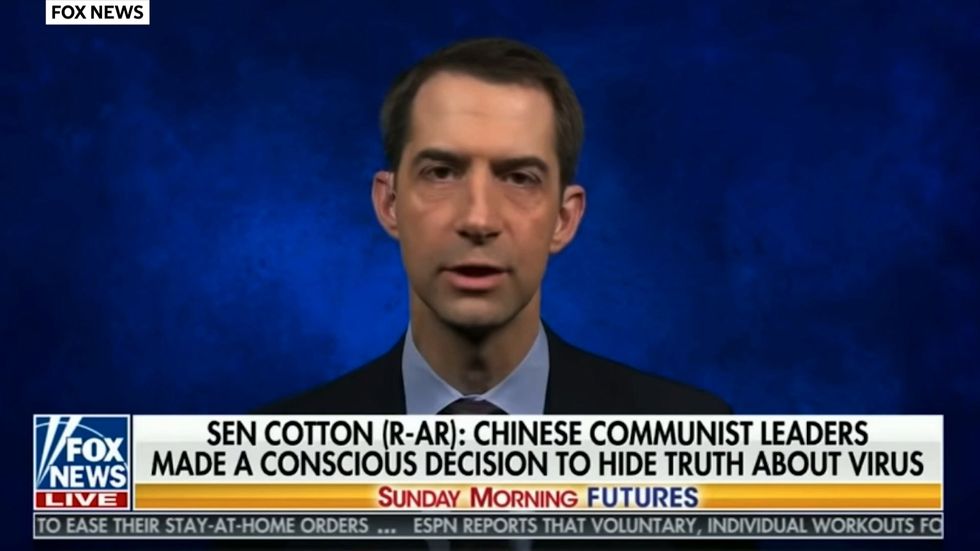 Republican senator says Chinese people shouldn't be allowed to study science in America