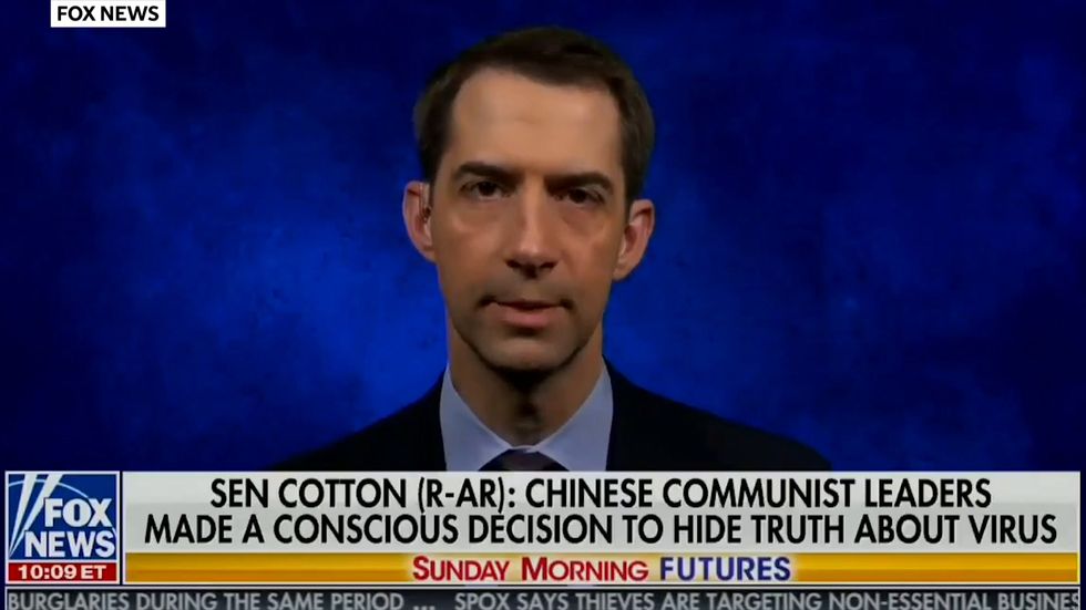 Tom Cotton says US should ban Chinese students