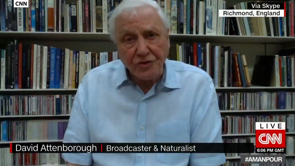 Sir David Attenborough talks working from home after coronavirus