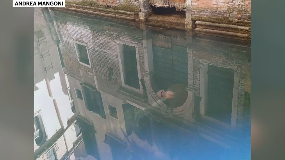 Jellyfish glides along Venetian canal
