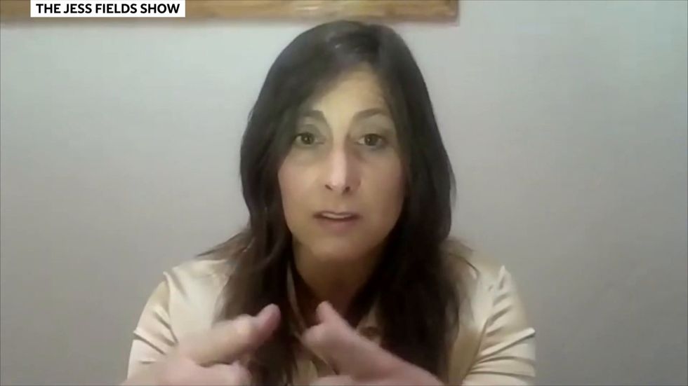 Republican Heather Scott compares coronavirus lockdown to Holocaust and calls governor 'Little Hitler'.mp4