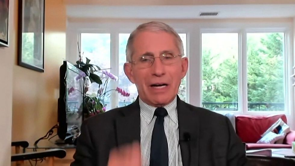 Dr Fauci: Virus determines when US can safely reopen