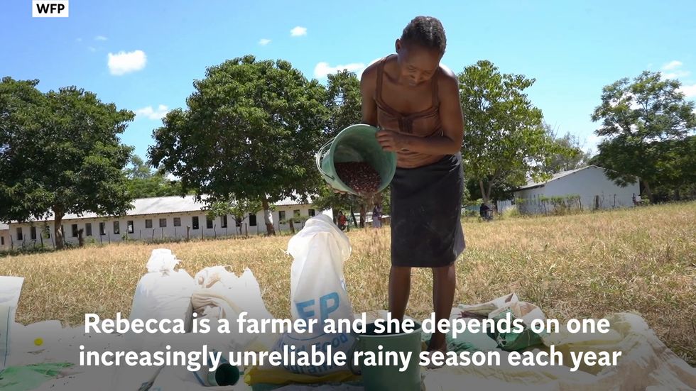 Coronavirus: United Nations World Food Programme plans to support 4.1 million Zimbabweans