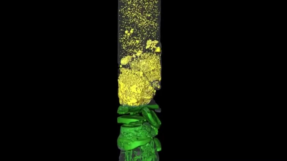 CT scan shows contents of a sediment core drilled in Antarctica