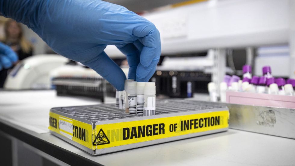 Coronavirus: Lockdown restrictions could be relaxed by May, says government adviser