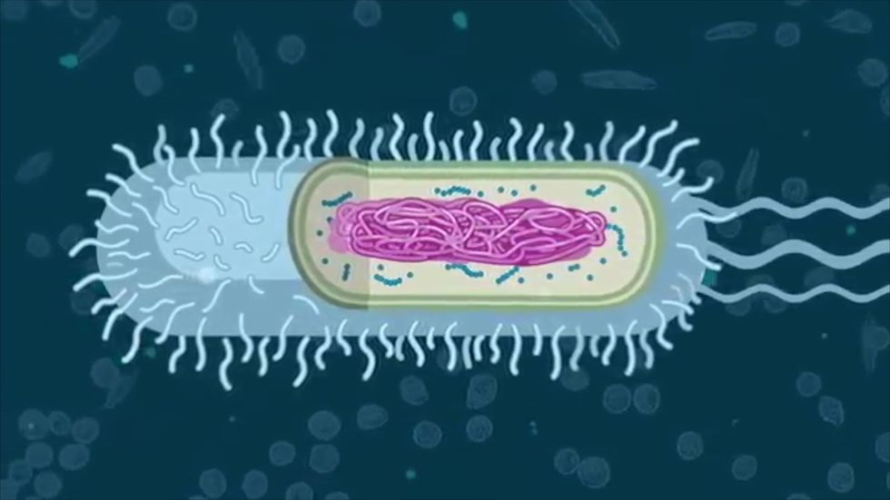 Stephen Fry has made a myth-busting video about coronavirus