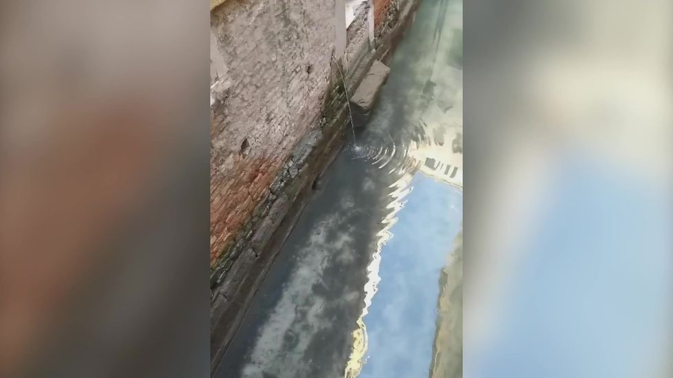 Venice canals clear up as pandemic shuts down tourism