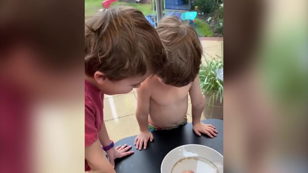 Tom Fletcher demonstrates importance of washing hands to children using soap water and pepper trick