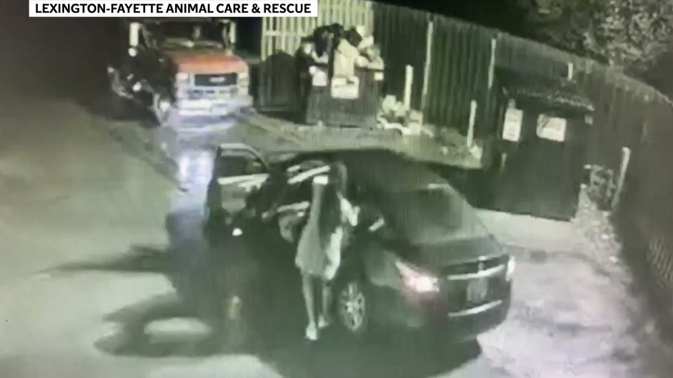 Authorities search for woman who threw dead dog in dumpster