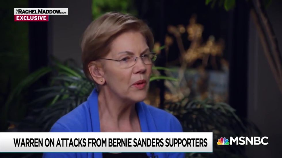 Elizabeth Warren on Sanders supporters' 'organised nastiness'