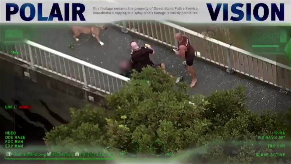 Australian dog walker tackles suspect - then high-fives police