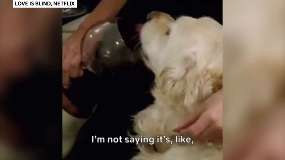 Love is Blind star Jessica gives her dog wine
