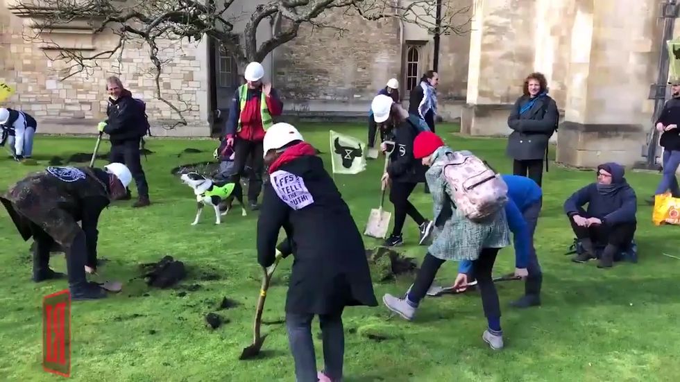 Extinction Rebellion dig up Cambridge University lawn
