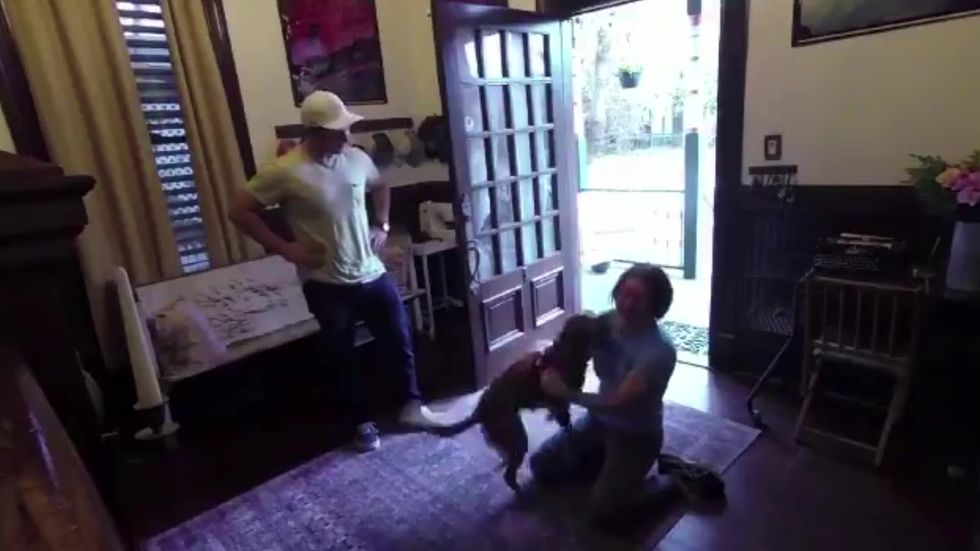 Astronaut Christina Koch reunited with her dog after record breaking stint in space