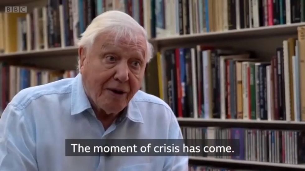 David Attenborough warns 'moment of crisis has come' with climate change