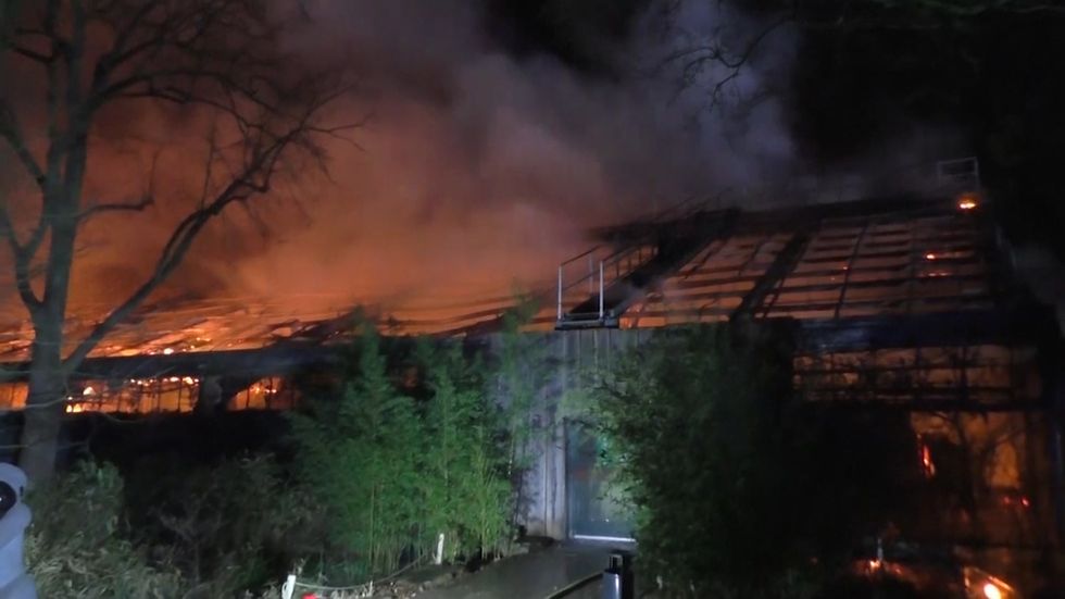 Fire kills animals at zoo in western Germany