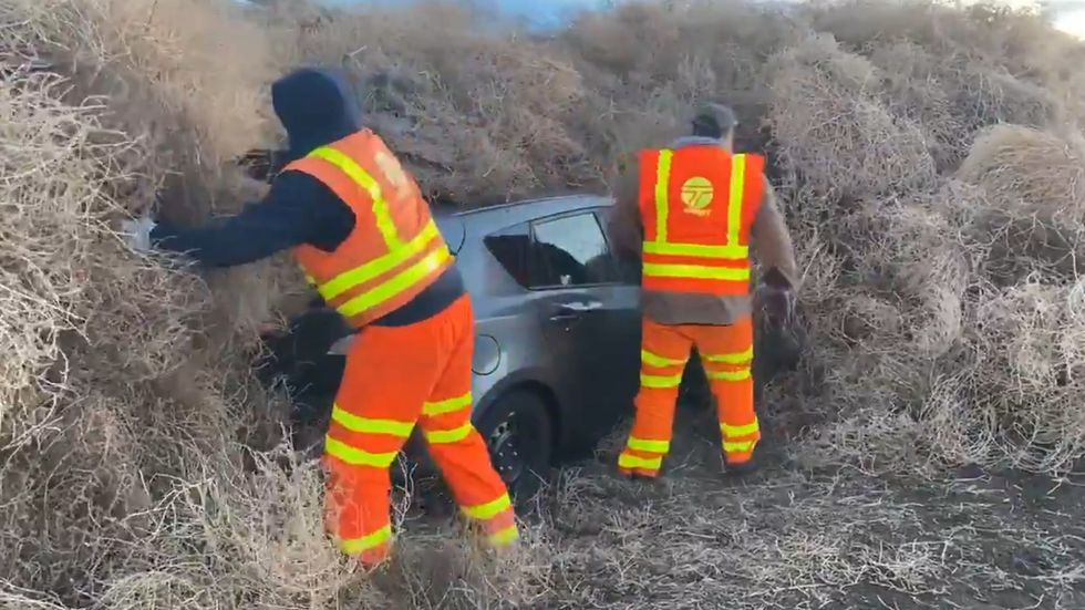 Cars abandoned after Washington state highway is covered in tumbleweed