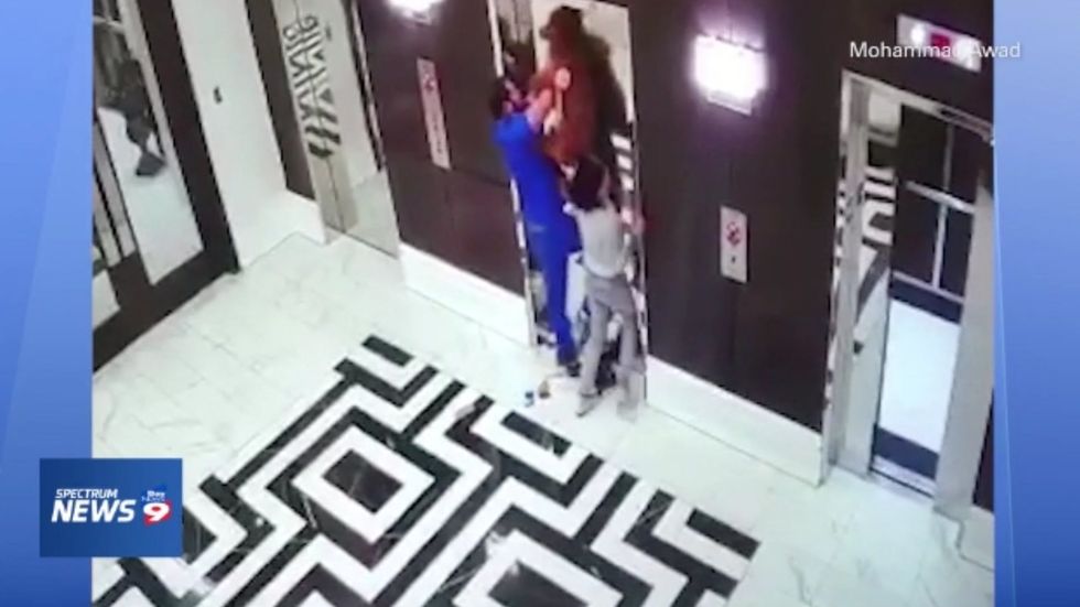 Doctor rescues dog hanging from ceiling after lead caught in lift doors