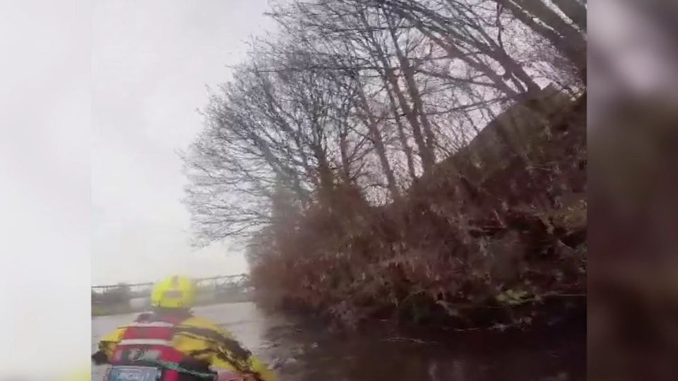 Four stranded deer rescued from river