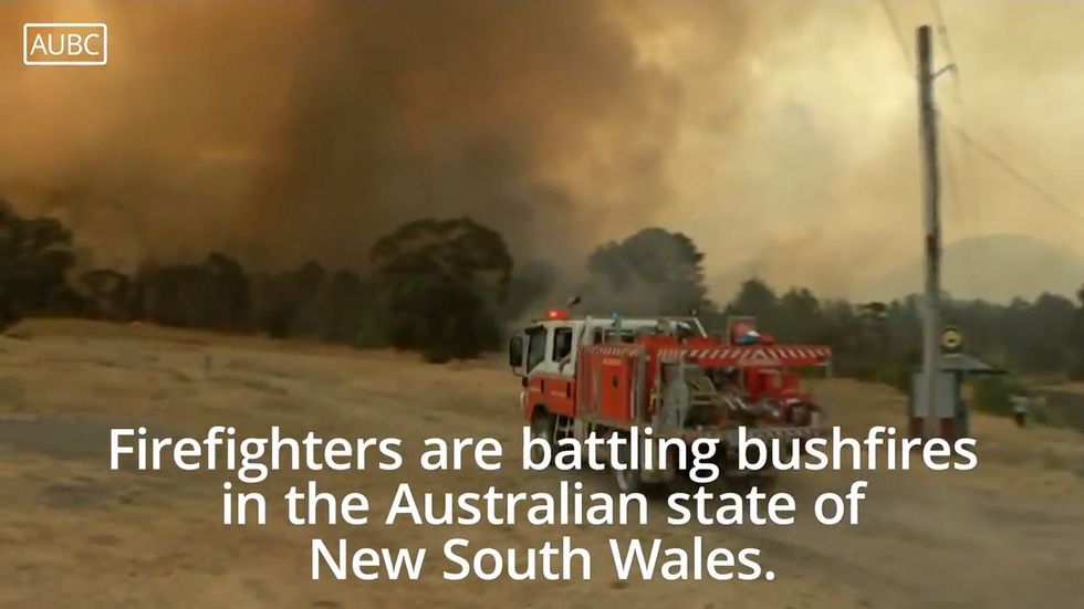 Firefighters tackle blazes in New South Wales wildfires