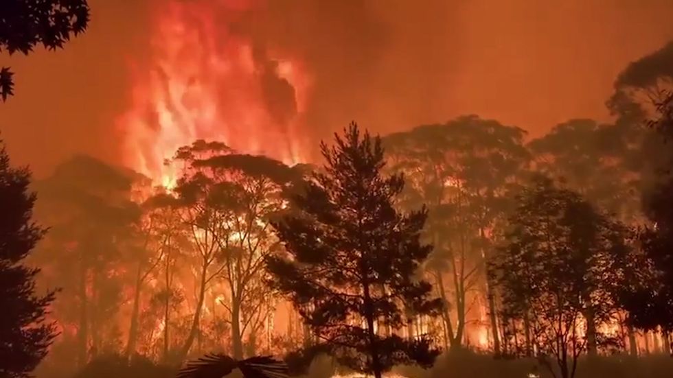 Australia fires: Huge red flames rage as crews continue to protect properties close-by across NSW