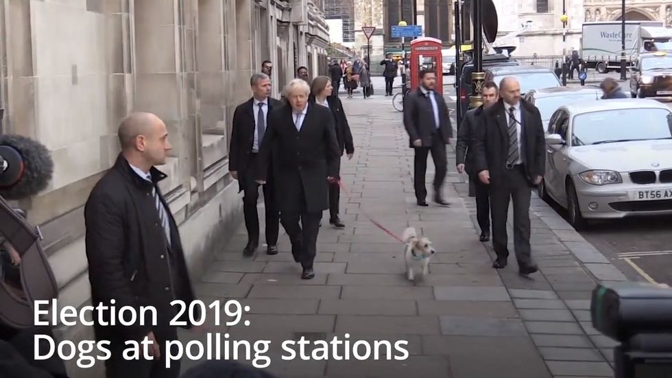 General election 2019: Dogs at polling stations steal limelight
