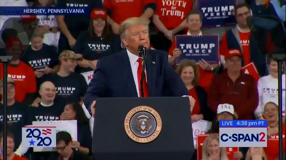 Donald Trump appears to lament female rally protester was not treated more forcefully