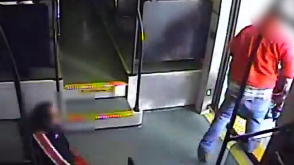 Man wearing reindeer slippers tips woman out of wheelchair on train as he tries to steal it
